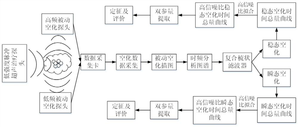 Multi-parameter analysis and characterization method of cavitation classification during low-intensity pulsed ultrasonic cavitation synergistic drug release