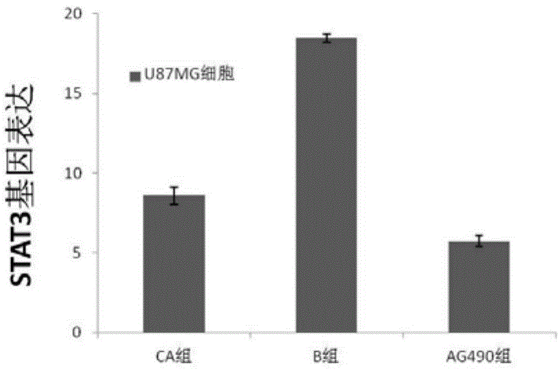 Application of cinnamic acid on preparation of medicines for treating cancers