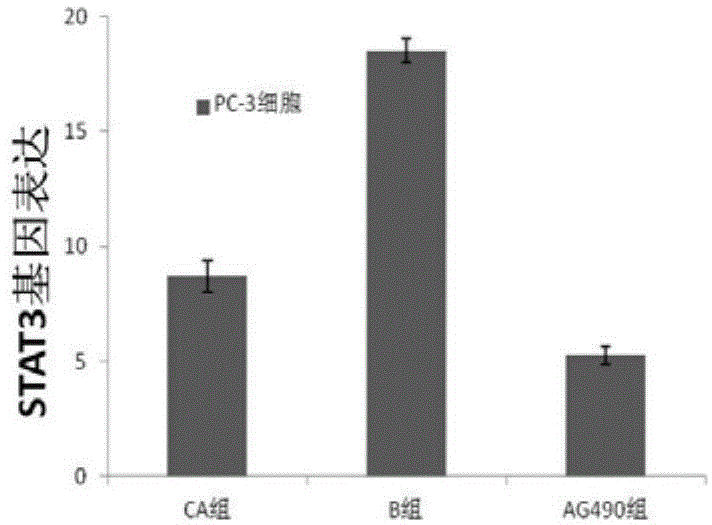 Application of cinnamic acid on preparation of medicines for treating cancers