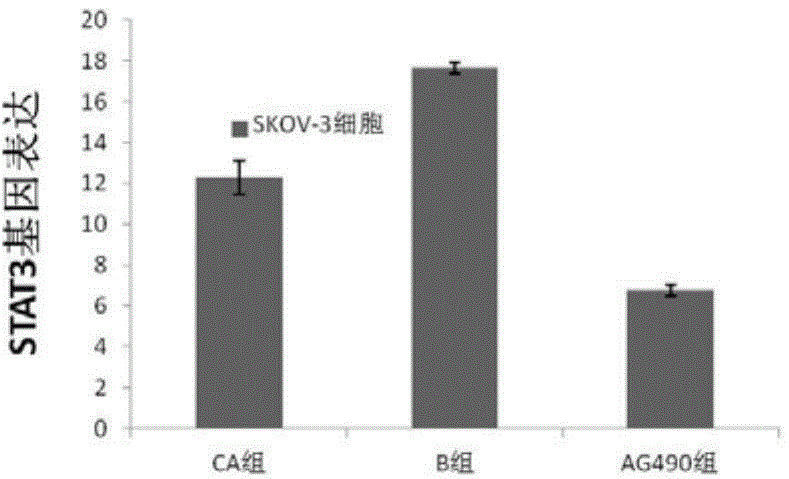 Application of cinnamic acid on preparation of medicines for treating cancers