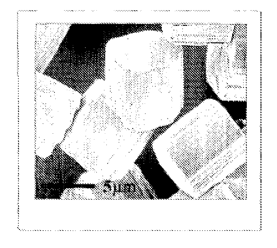 Beta-sialon phosphor powder and production method thereof