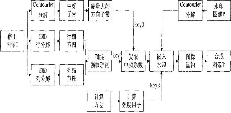 Robust image double-watermarking method