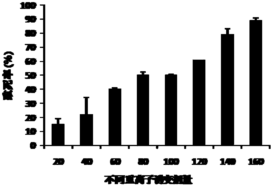 A kind of Nannochloropsis mutant strain and its heavy ion mutagenesis breeding method