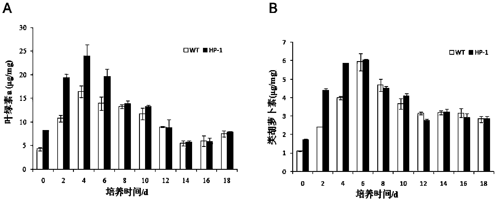 A kind of Nannochloropsis mutant strain and its heavy ion mutagenesis breeding method