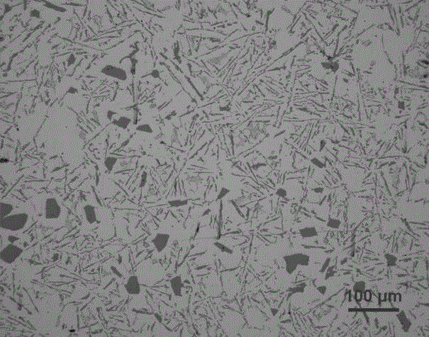 Method for modification and refinement of hypoeutectic and eutectic Al-Si alloy