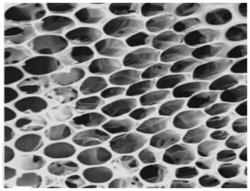 Preparation method of solid-phase microextraction head with multi-layer porous activated carbon film coating