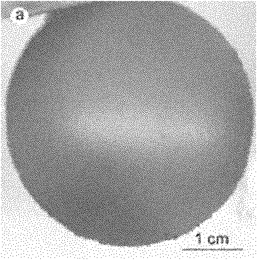 Method for preparing counter electrode of dye-sensitized solar cell