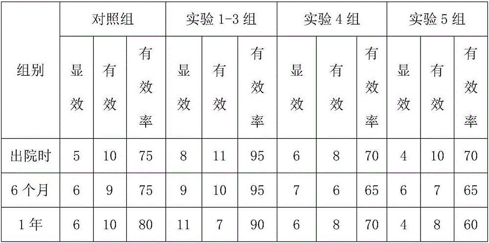 Western medicine composition for treating schizophrenia