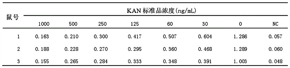 Kanamycin antibody and preparation process thereof