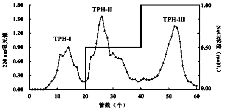 Tuna fish bone gelatin antifreeze peptide and preparation method thereof