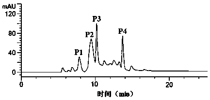 Tuna fish bone gelatin antifreeze peptide and preparation method thereof