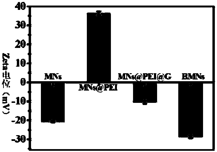 Magnetic nanoparticle and immunomagnetic nanoparticle with cell-like structure as well as preparation method and application thereof