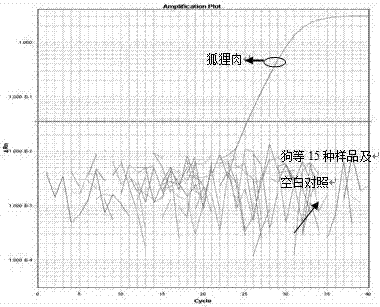 Primers, probe, method and kit for accurate quantitative digital PCR detection of fox-derived component