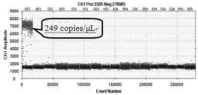 Primers, probe, method and kit for accurate quantitative digital PCR detection of fox-derived component