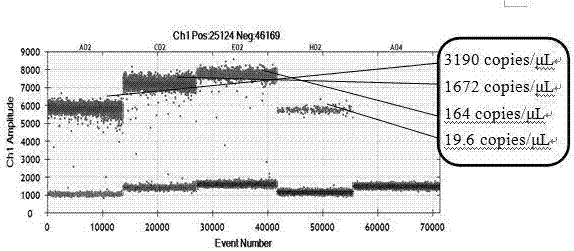 Primers, probe, method and kit for accurate quantitative digital PCR detection of fox-derived component