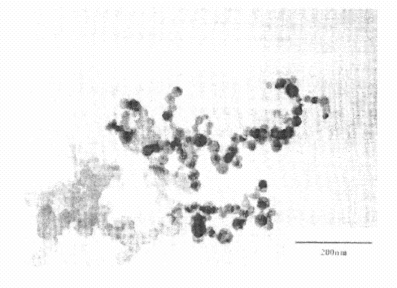 Nano-selenium amino acid foliar fertilizer and preparation method of the same