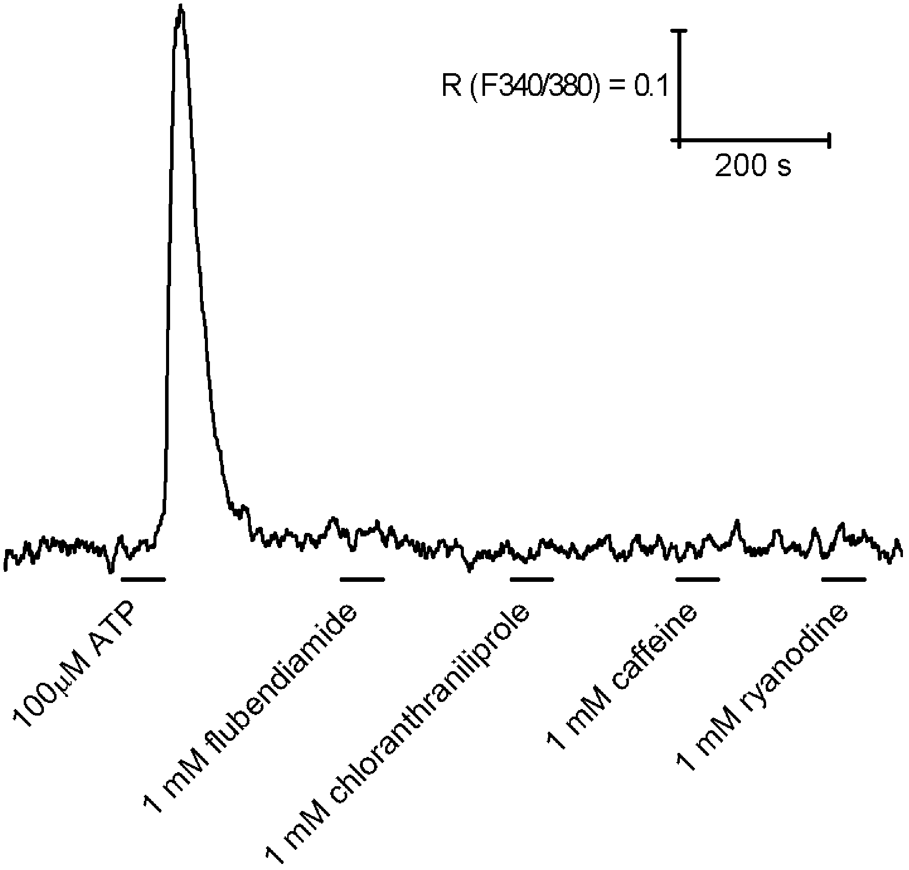 Chilo suppressalis ryanodine receptor gene CsRyR, encoded protein thereof and application of chilo suppressalis ryanodine receptor gene CsRyR