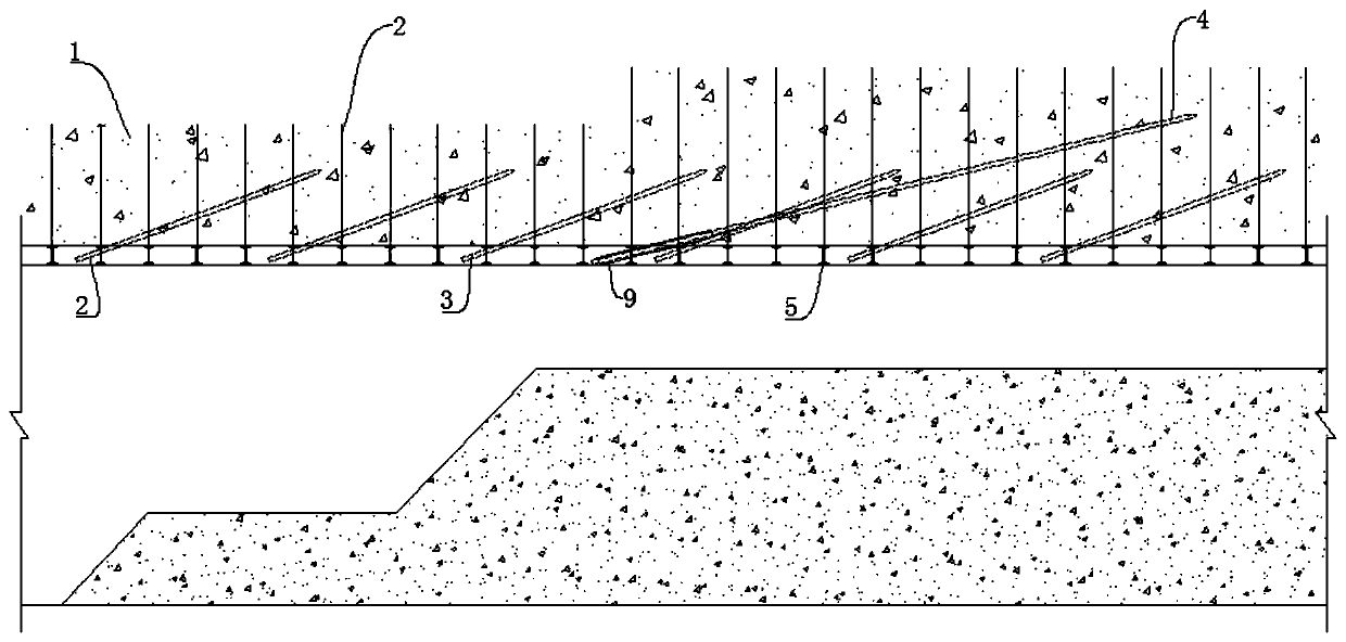 Rock mass tunnel pipe roof structure and construction method thereof