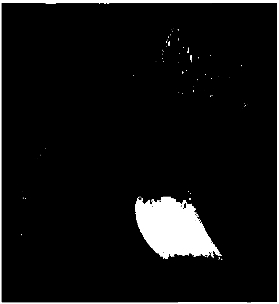 Preparing method of high-pressure shell aluminum alloy die forging for submersible