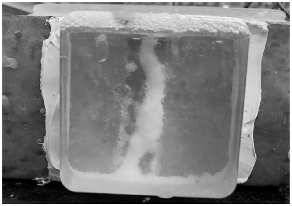 Solution for electrochemically repairing concrete cracks and preparation method thereof