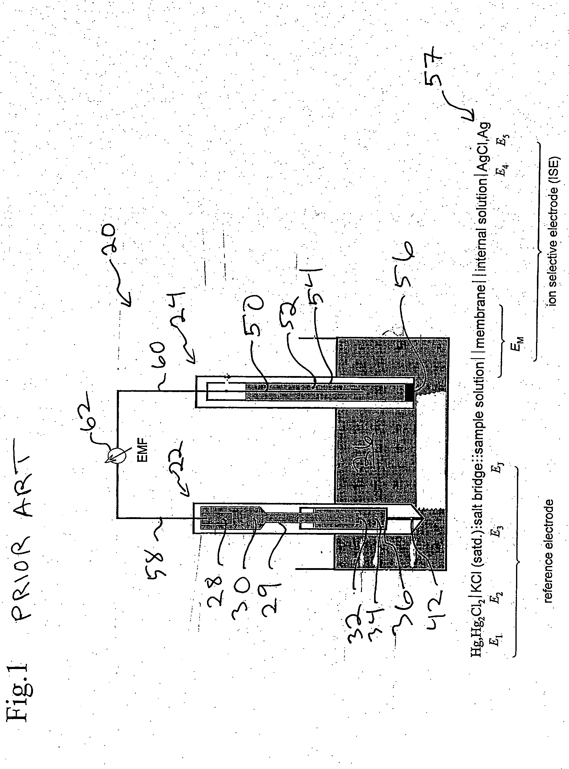 Ion sensor for long term use in complex medium