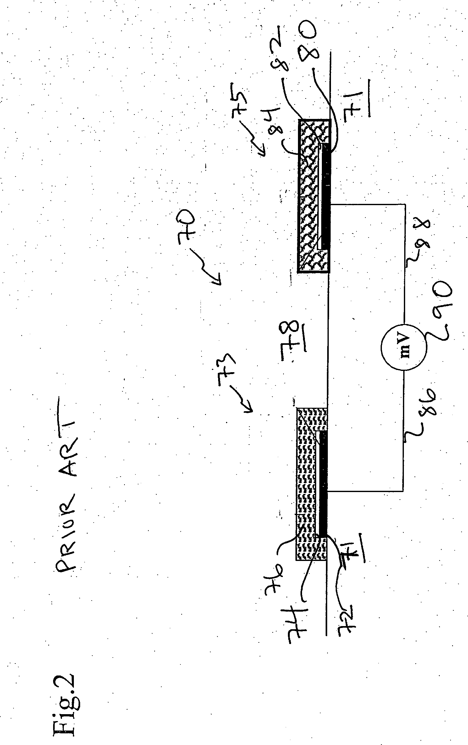 Ion sensor for long term use in complex medium