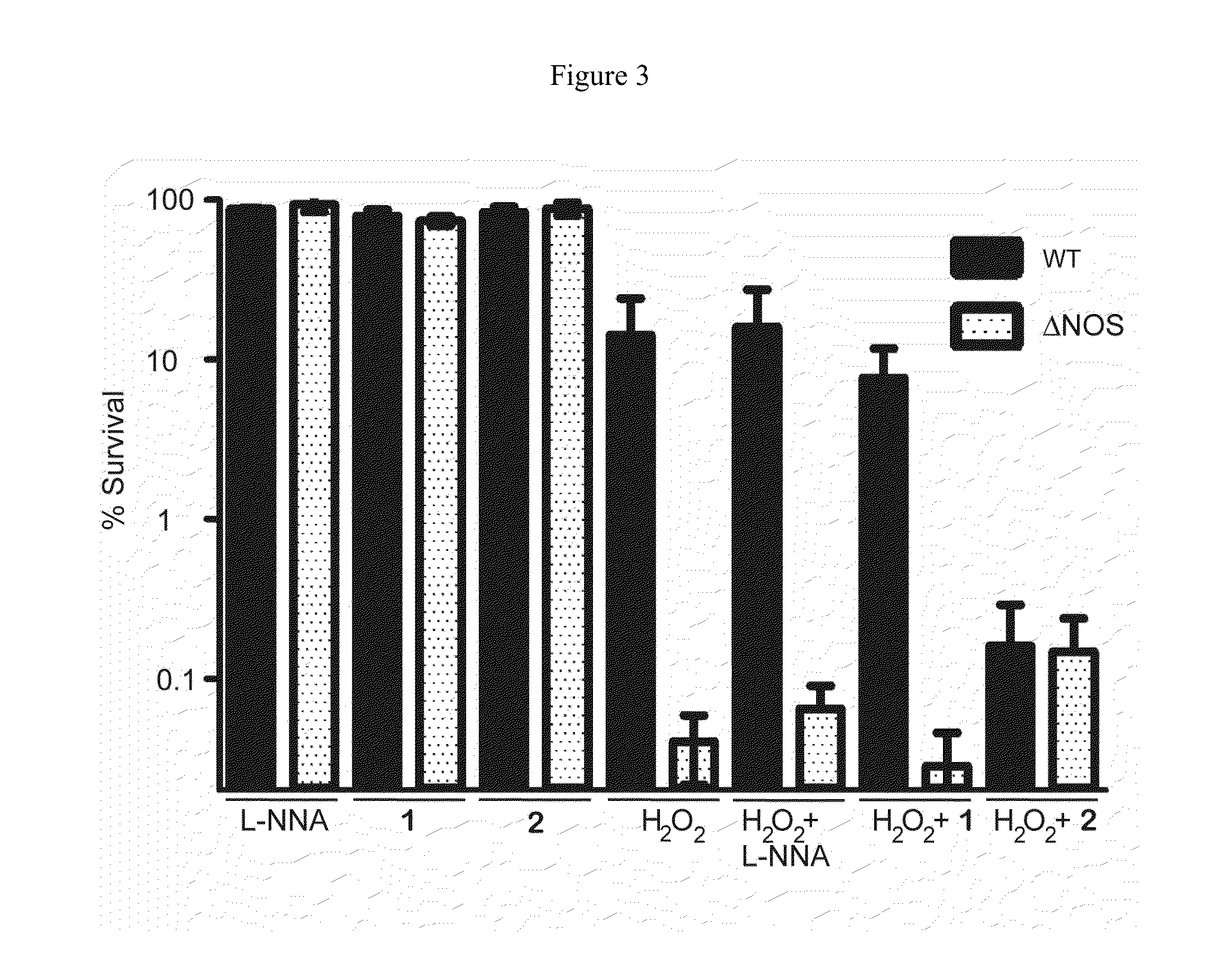 Mammalian and Bacterial Nitric Oxide Synthase Inhibitors