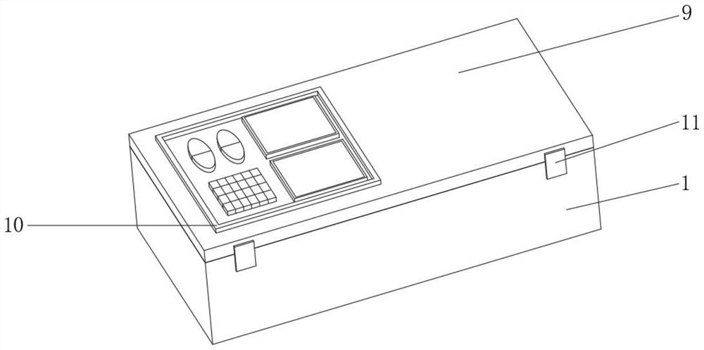 Improved food immunodetection device and detection method thereof