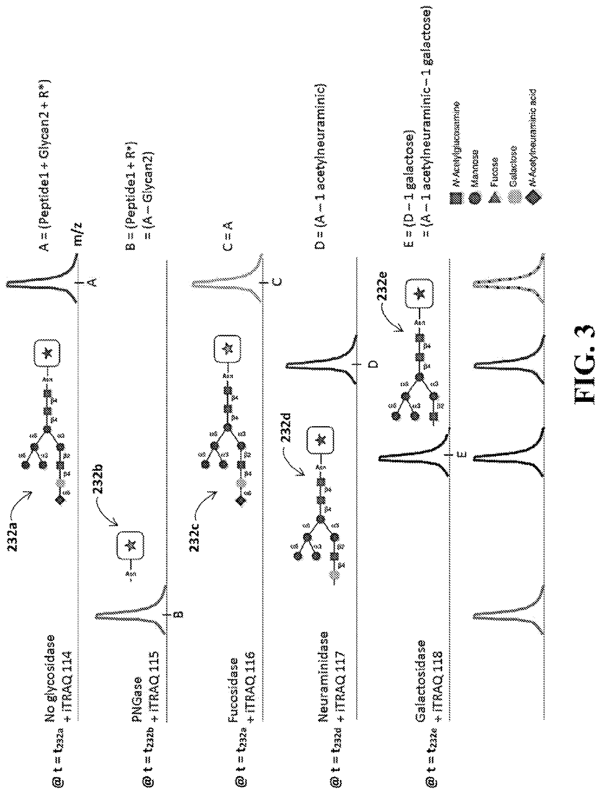 Identification of glycosylation forms