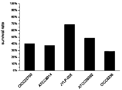 A kind of Lactobacillus rhamnosus jylr-005 and its hypoglycemic product and application