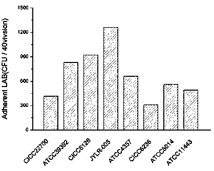 A kind of Lactobacillus rhamnosus jylr-005 and its hypoglycemic product and application