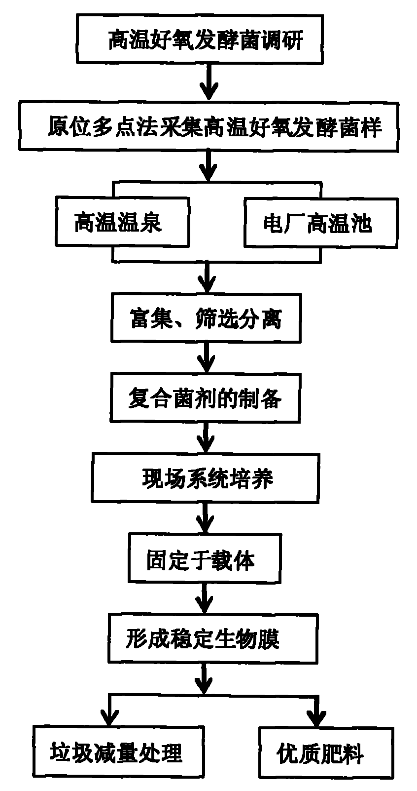 High temperature aerobic fermentation bacteria and application of high temperature aerobic fermentation bacteria in quantitative reduction and resource recovery of domestic garbage, sludge and other solid waste