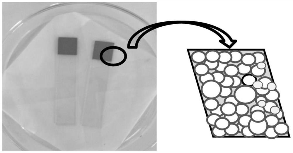 Preparation method of GO-WO3/TiO2 microsphere film electrode