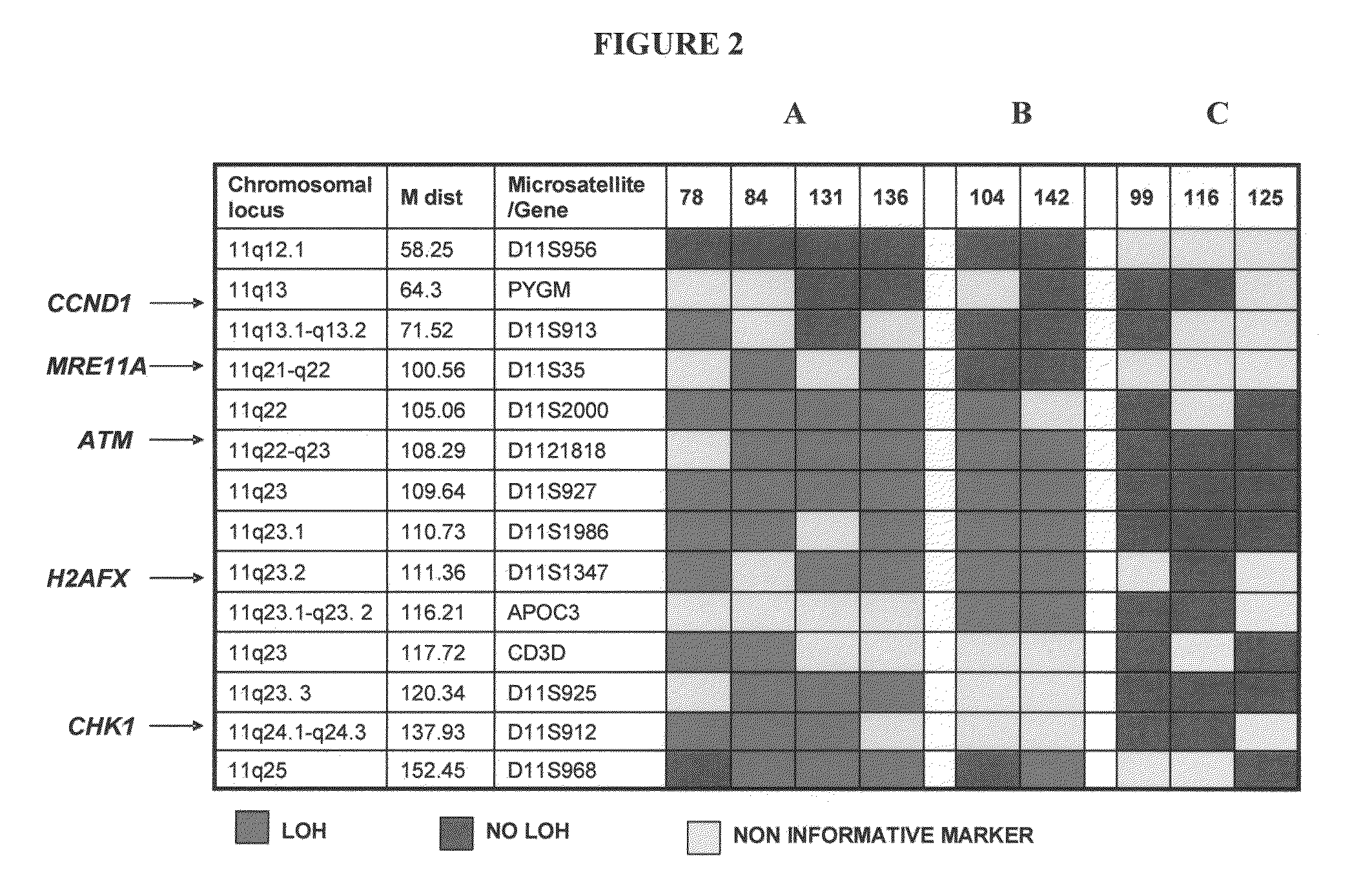 Genetic changes in ATM and ATR/CHEK1 as prognostic indicators in cancer