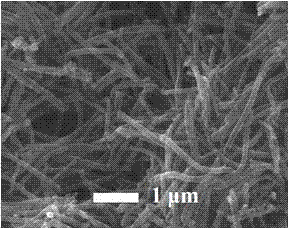 Preparation method of nanostructured polypyrrole