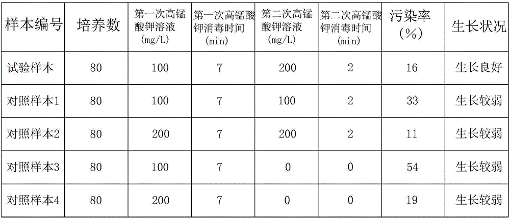 Water culture method of cymbidium sinense