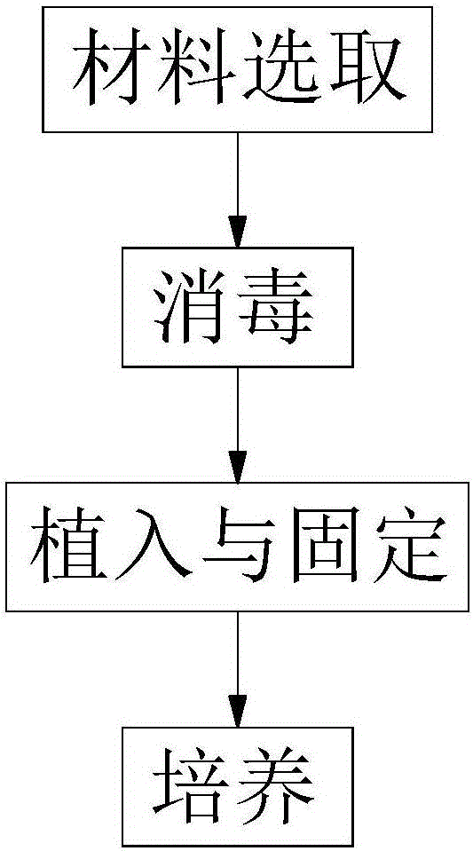 Water culture method of cymbidium sinense