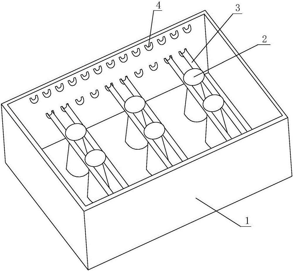 Water culture method of cymbidium sinense