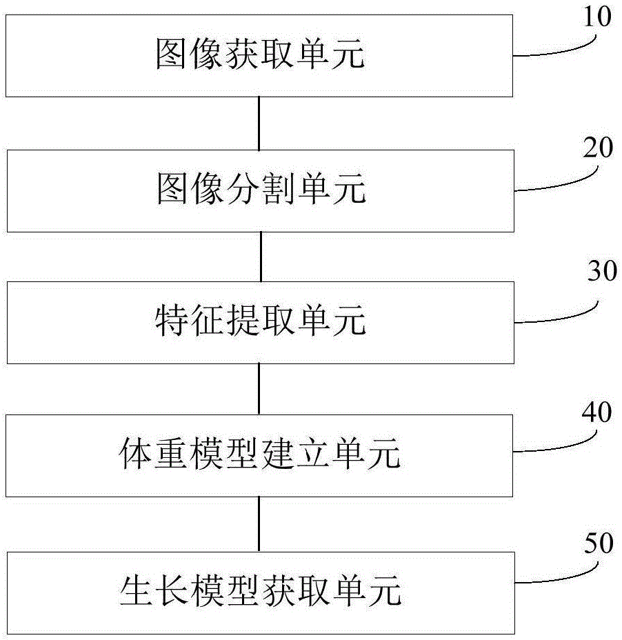 Depth image-based broiler growth model fitting method and apparatus