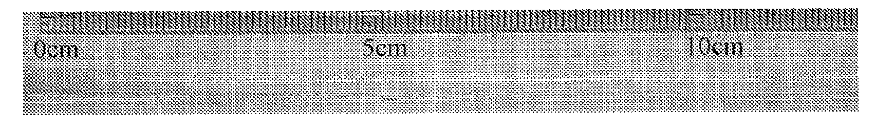 Preparation of hollow cellulose vessels