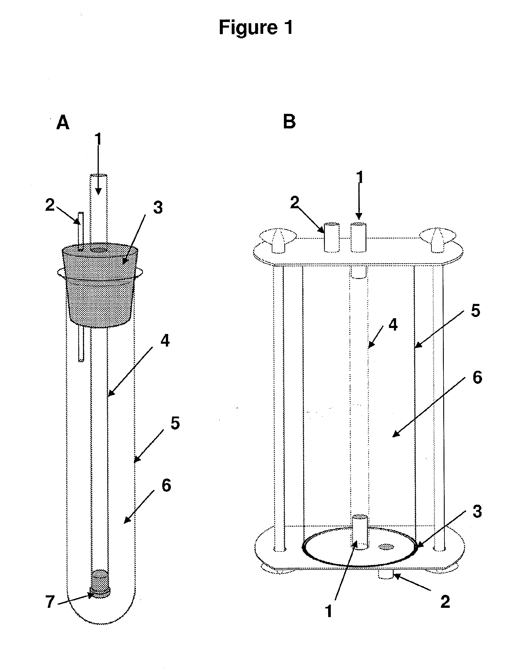 Preparation of hollow cellulose vessels