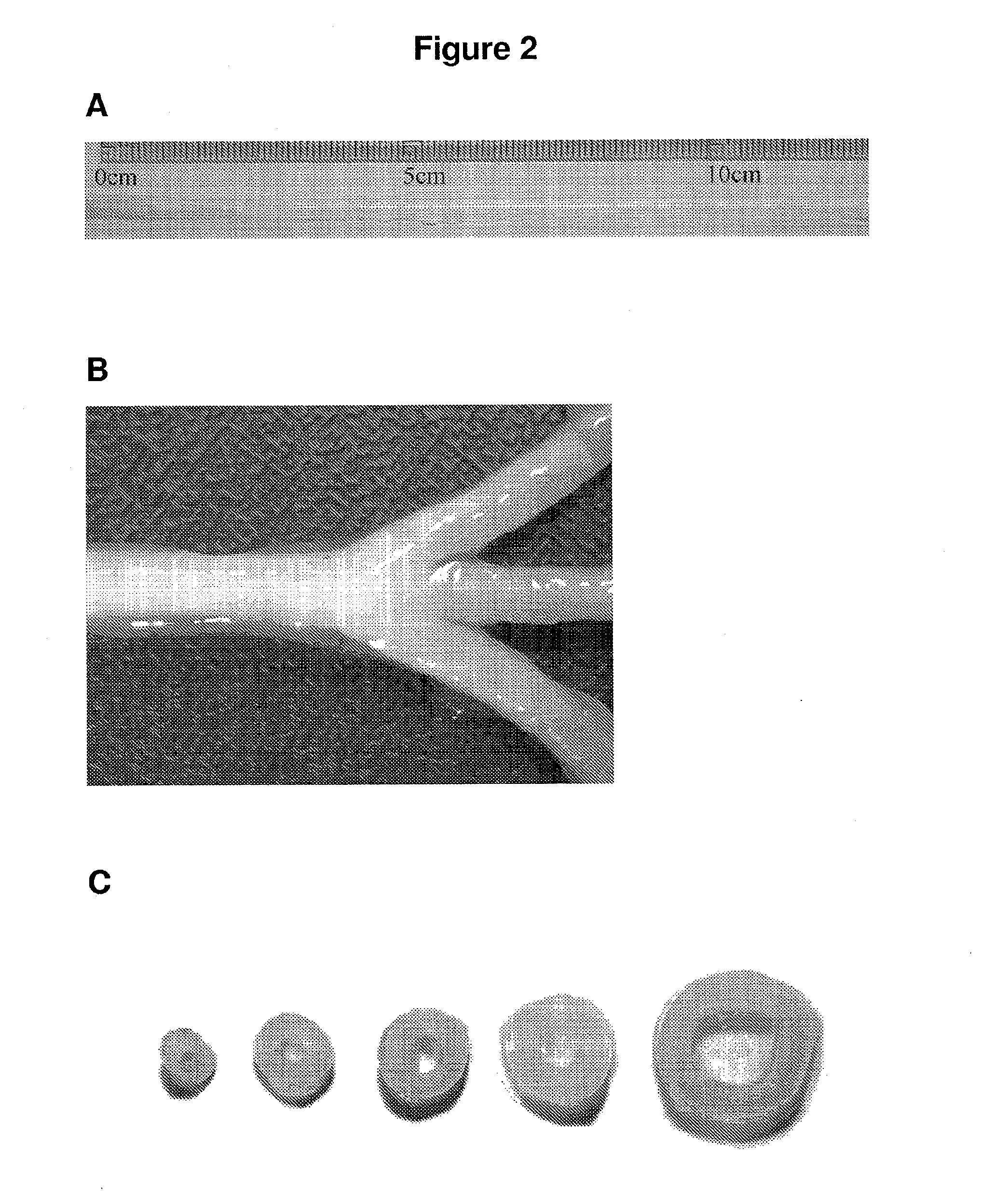 Preparation of hollow cellulose vessels