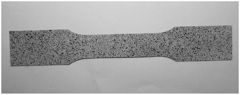 A Realization Method of Visual Extensometer Based on Digital Speckle