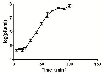 Phage vb_yen_x1 and its application in the prevention and treatment of Yersinia pestis infection