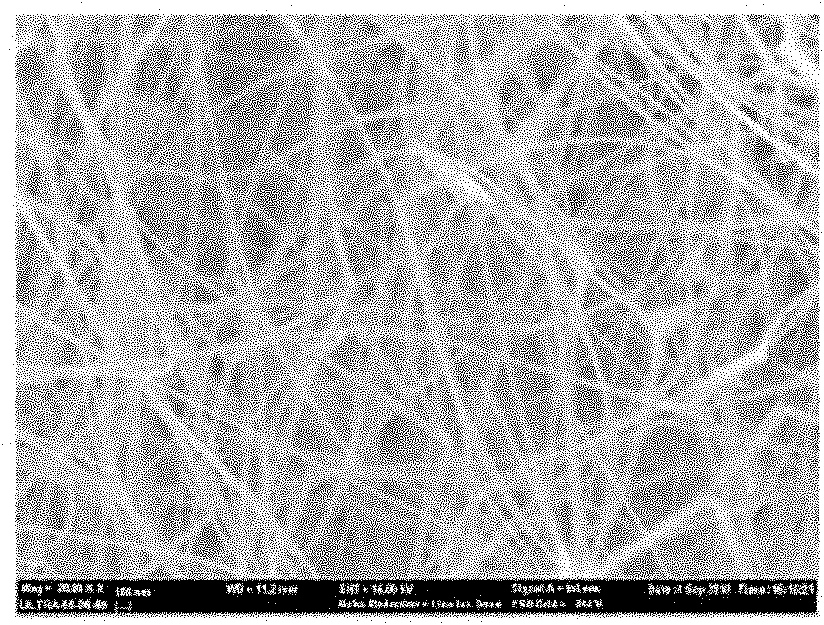 Mass production method of zinc oxide nanowires