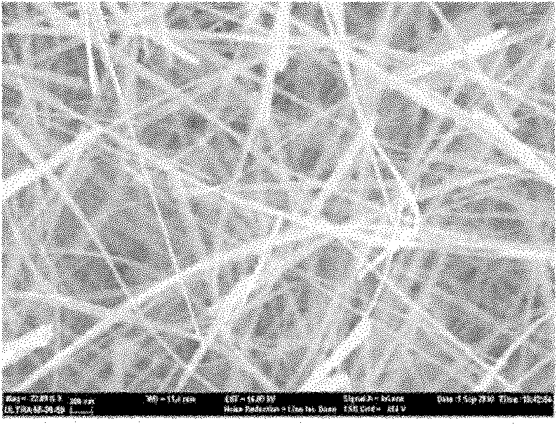 Mass production method of zinc oxide nanowires