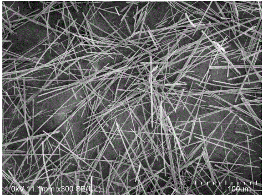 Method for preparing calcium sulfate whisker from low-grade natural gypsum or gypsum tailings