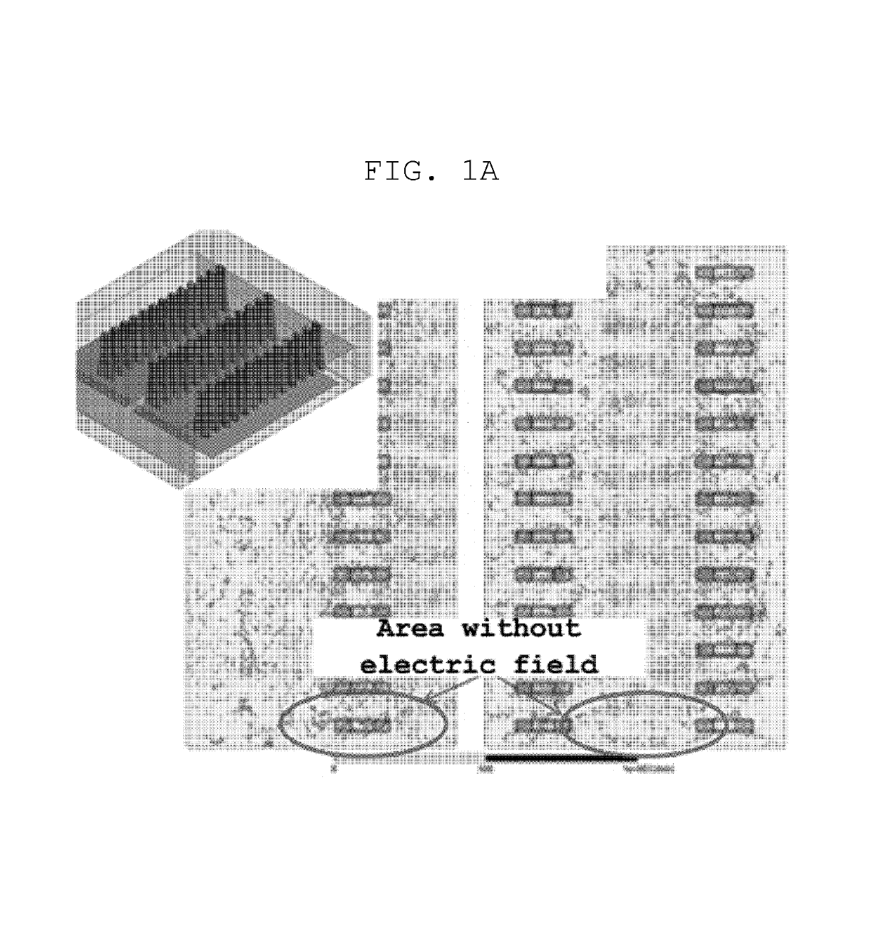 High frequency heating apparatus