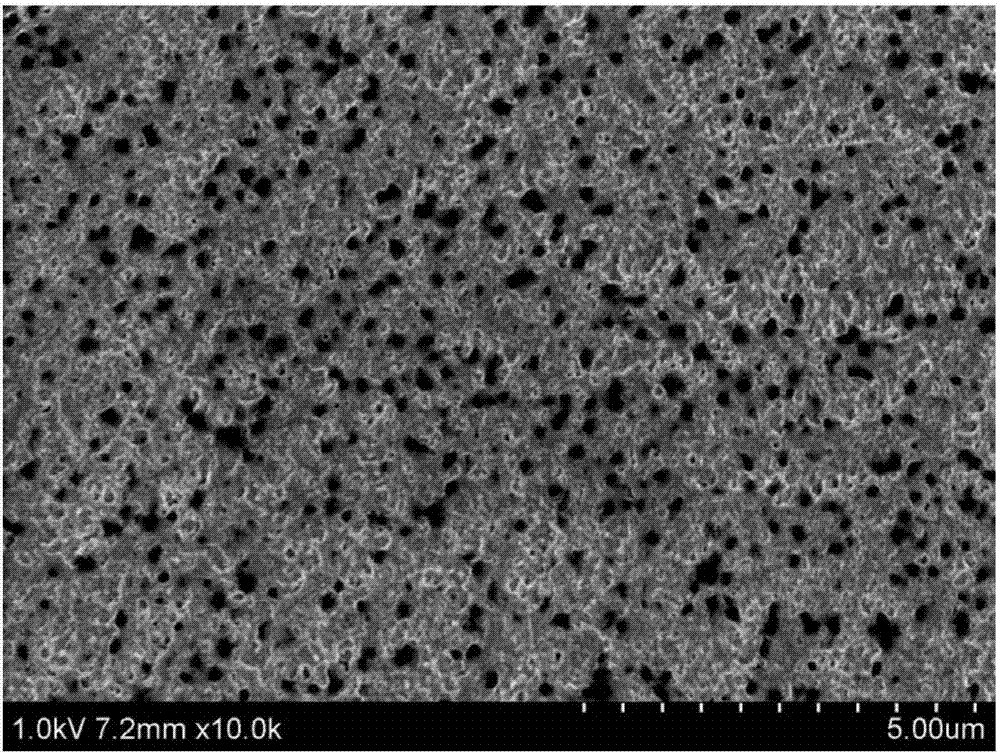 Preparation method of spiral implantable minimally-invasive glucose sensor with PVA (polyvinyl alcohol)/PEG (polyethylene glycol) composite hydrogel outer membrane structure