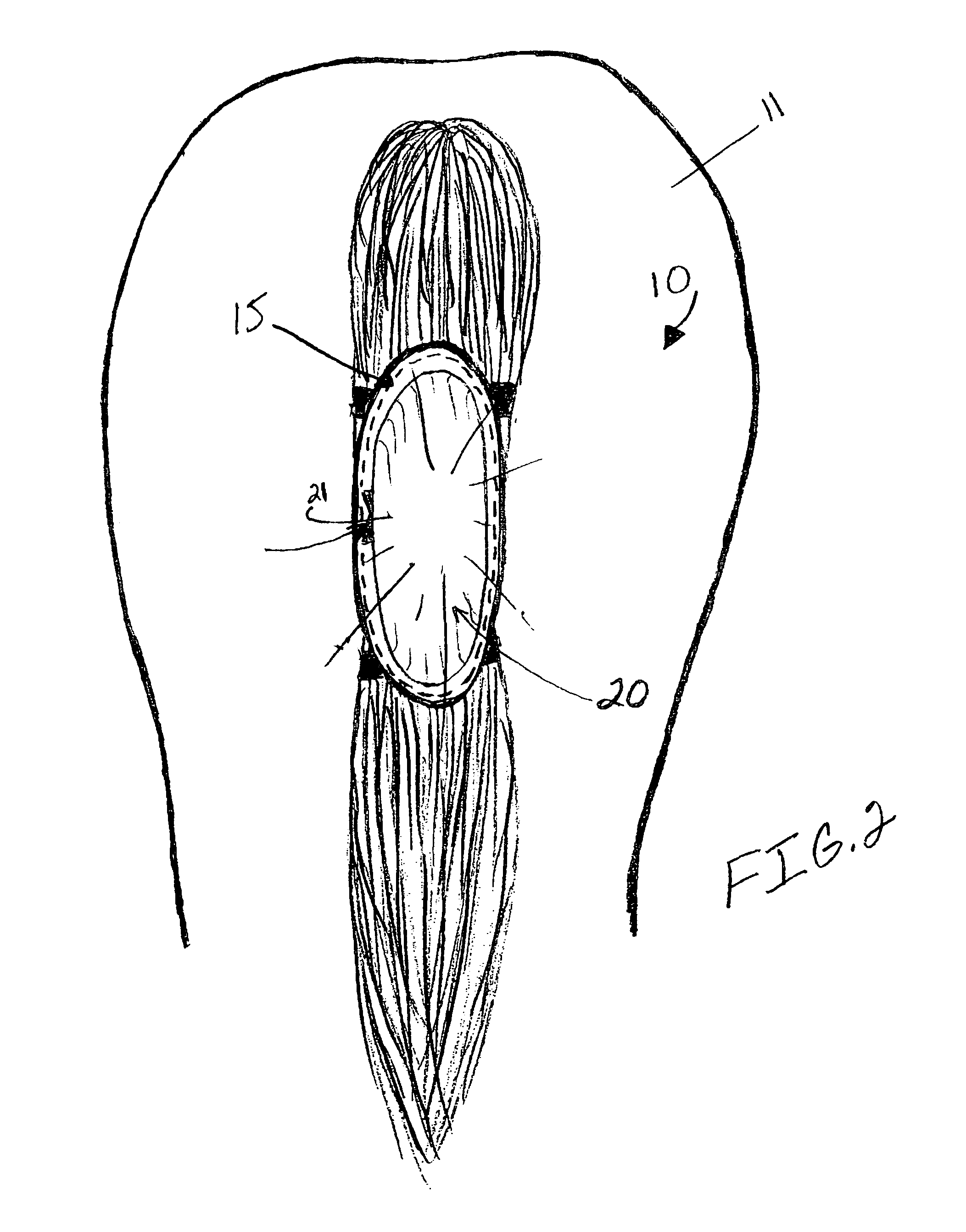 Lighting apparatus for equine animals